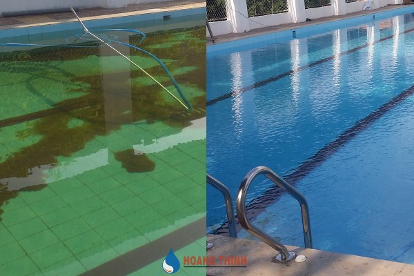 Hướng dẫn xử lý nước hồ bơi bị rêu tảo